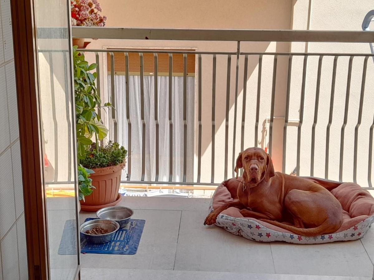 B&B Famigliare Arcadia Polignano Polignano a Mare Dış mekan fotoğraf